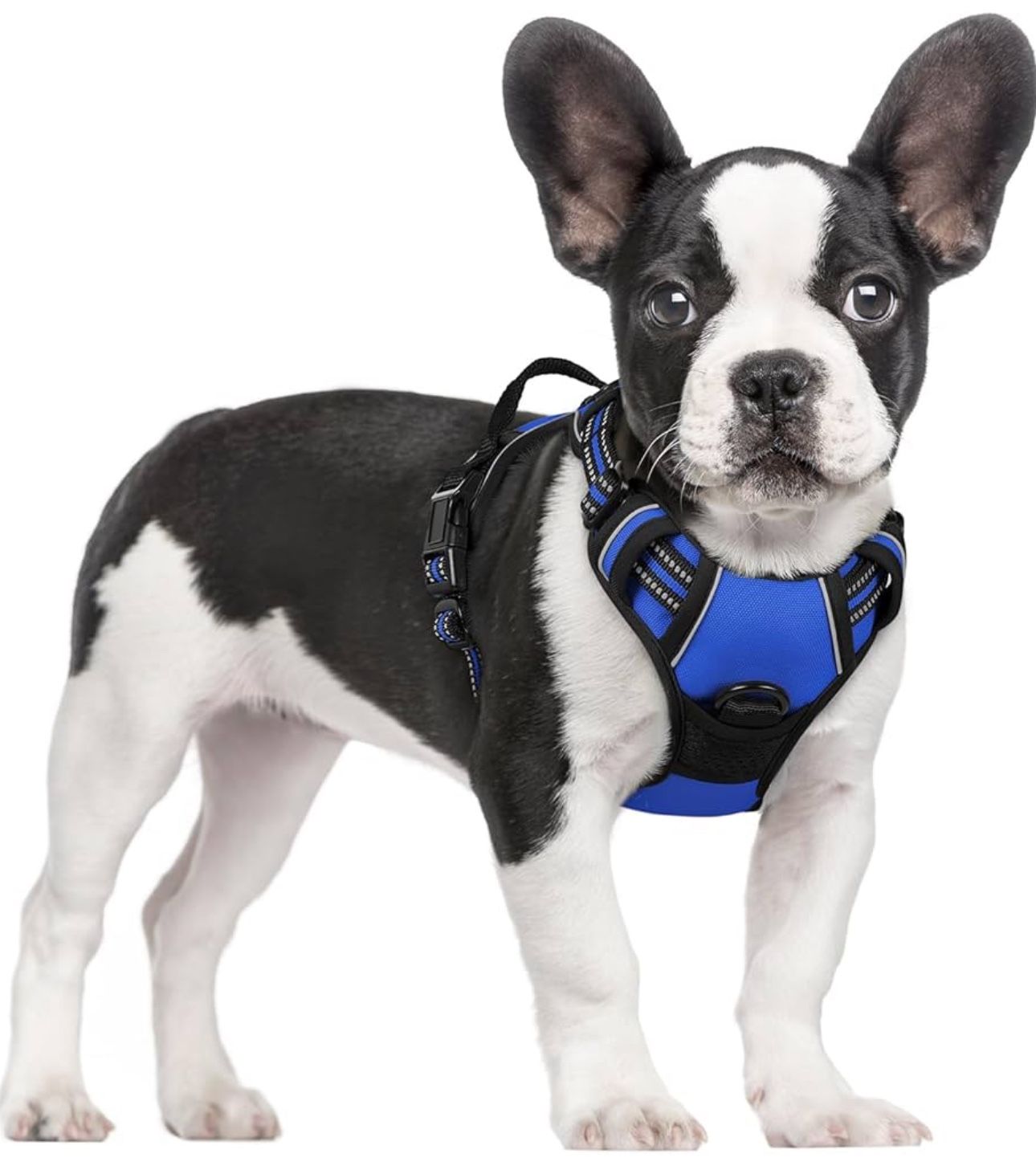 rabbitgoo Dog Harness No Pull with 2 Leash Clips, Adjustable Soft Padded, Reflective Oxford No Choke Pet Vest with Easy Control Handle for Large Dogs,