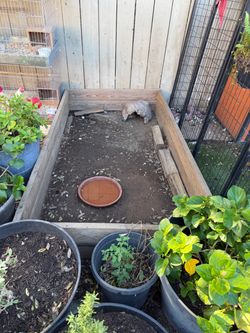 Tortoise enclosure