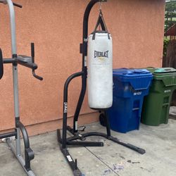 Punching Bag And Weight Bench With Weights 