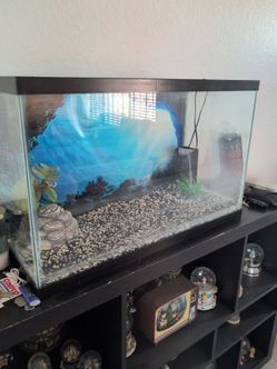 Fish thank