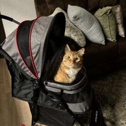 Dog or cat stroller brand new