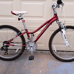 TREK BIKE TREK MT 220  BIKE GORGEOUS  AND IN EXCELLENT WORK CONDITION 24" TIRE SIZE