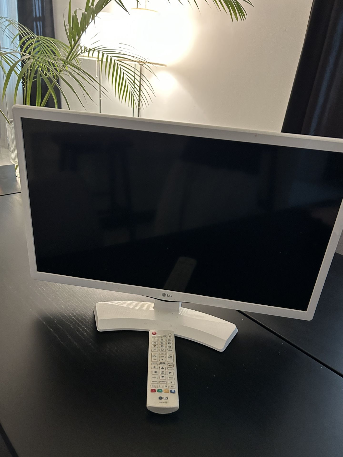 LG 24” TV – Perfect Also for Fire Stick