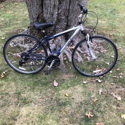 28” Hybrid Trek Bike 