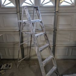 6 Foot Ladder $20