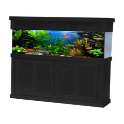 Large Aquarium 