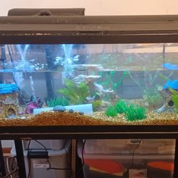 30 Gallon Fish Tank and Stand