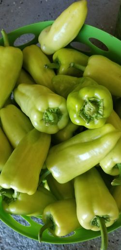Fresh Homemade Organic Bell Peppers 3 dollars per pound