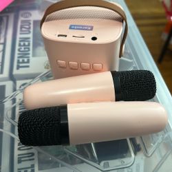 Speaker And Mic