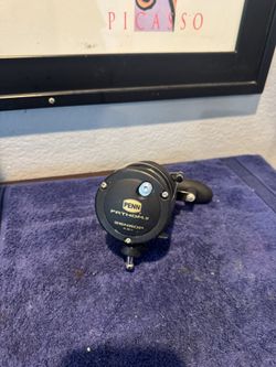 Penn Fathom 25N Star Drag Fishing Reel