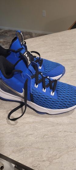 Lebron james shoes for sale