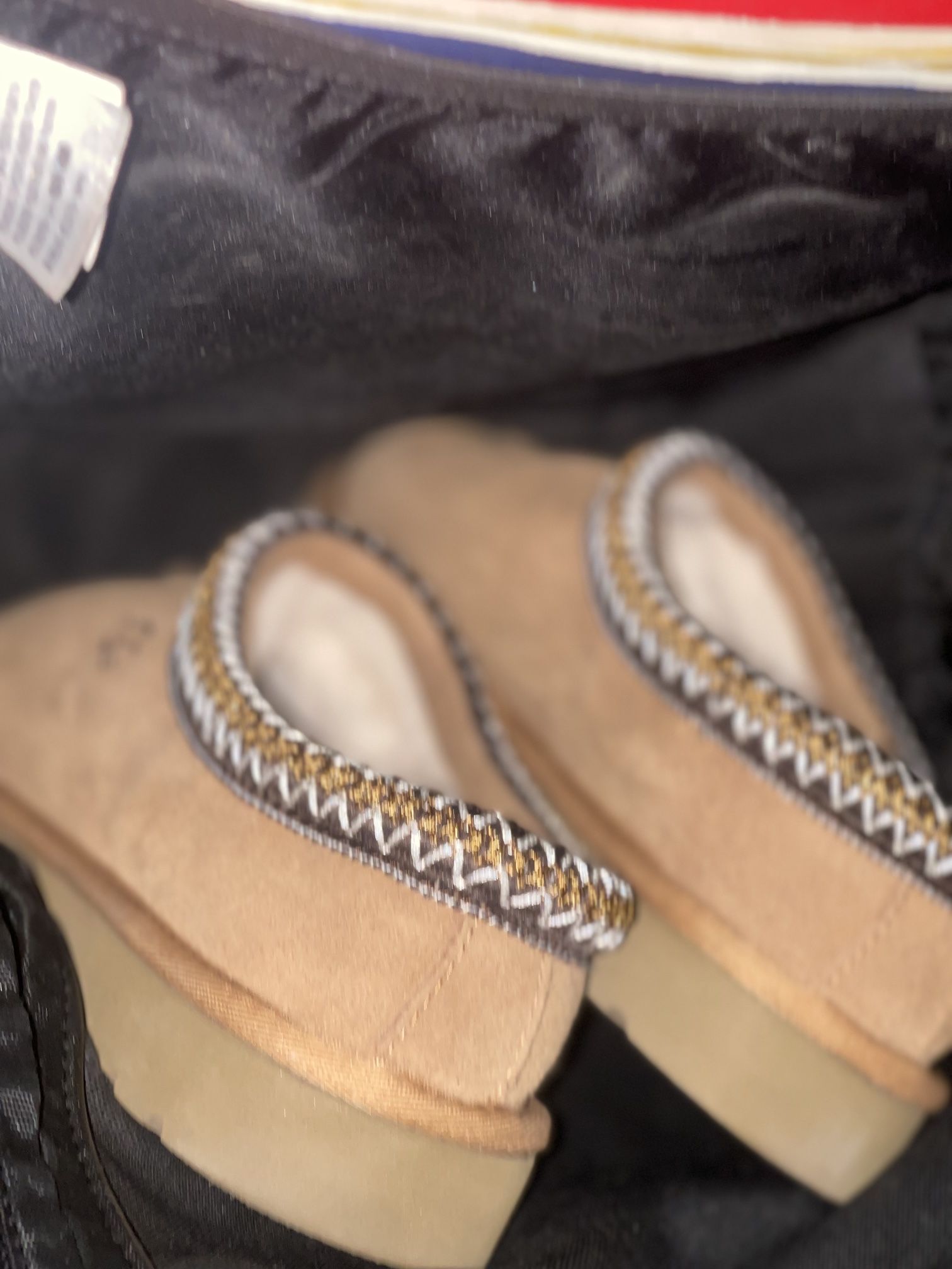 Ugg Tazmans