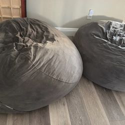 FREE- 2 Memory Foam Bean Bags 