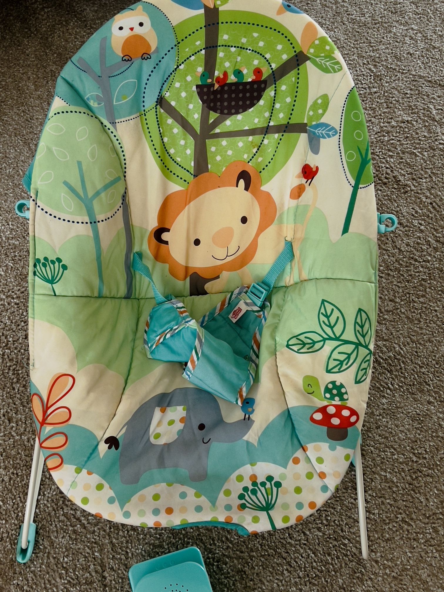 Baby Bouncer with Music and Massage
