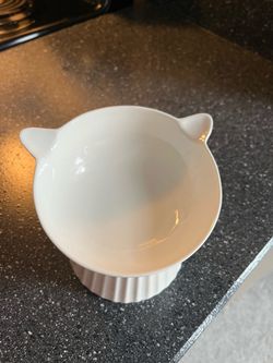 Raised cat bowl