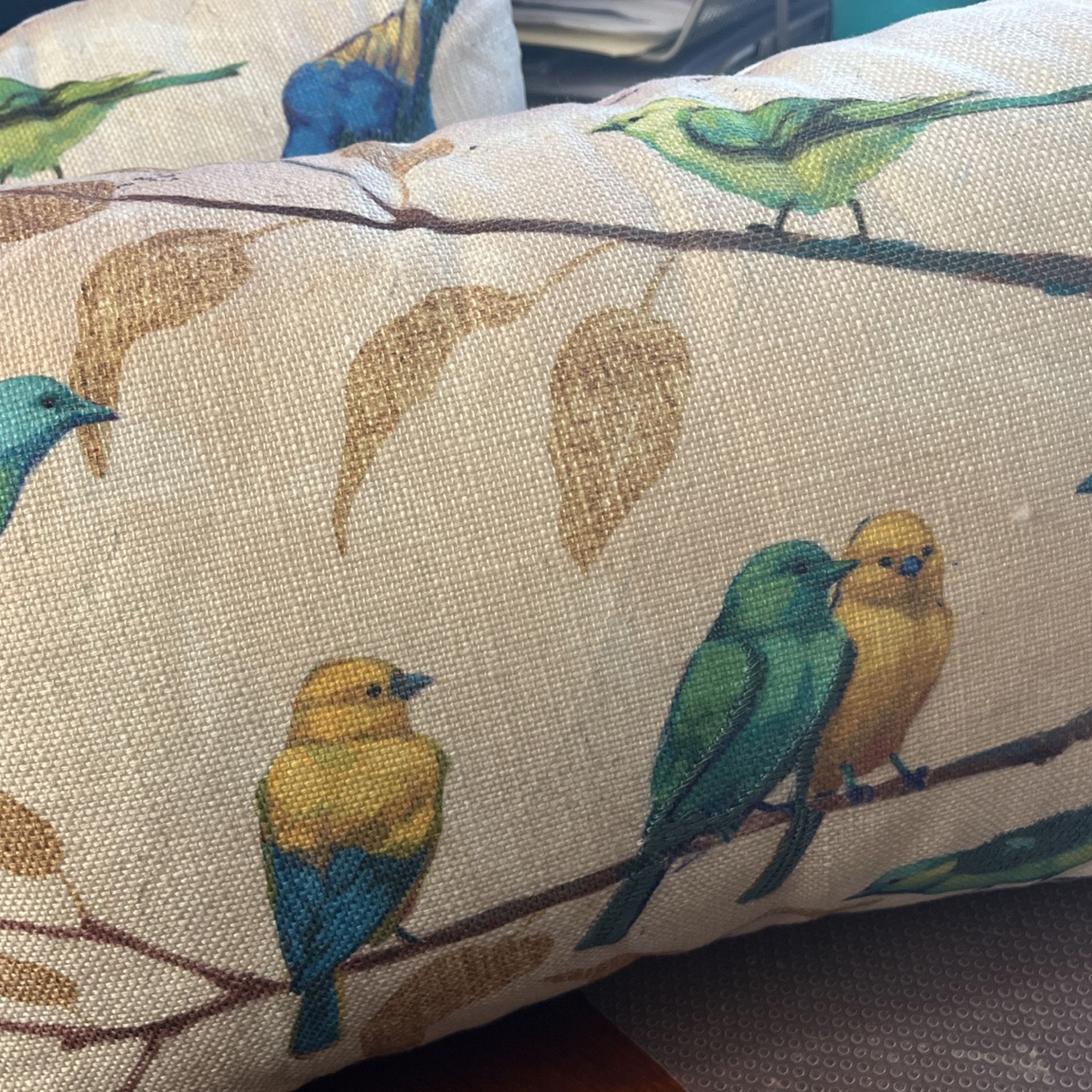 Brand New Throw Pillows