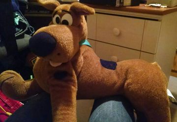 Large Scooby Doo Plush super cool
