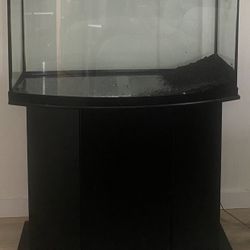 55 gallon bow top fin with stand and filter
