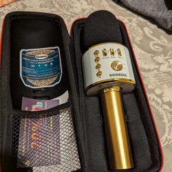 Karaoke Microphone 