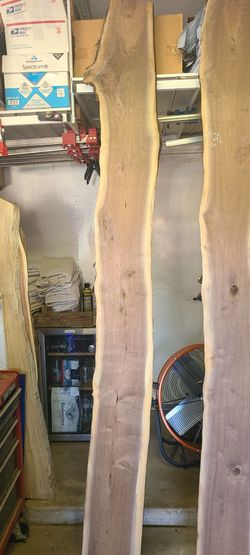 Black Walnut Live Edge Slab – Kiln Dried Iowa Walnut