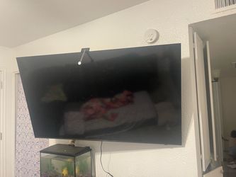 65in TV