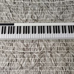 Piano/Keyboard 