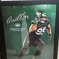 juts Quinnen Williams Picture