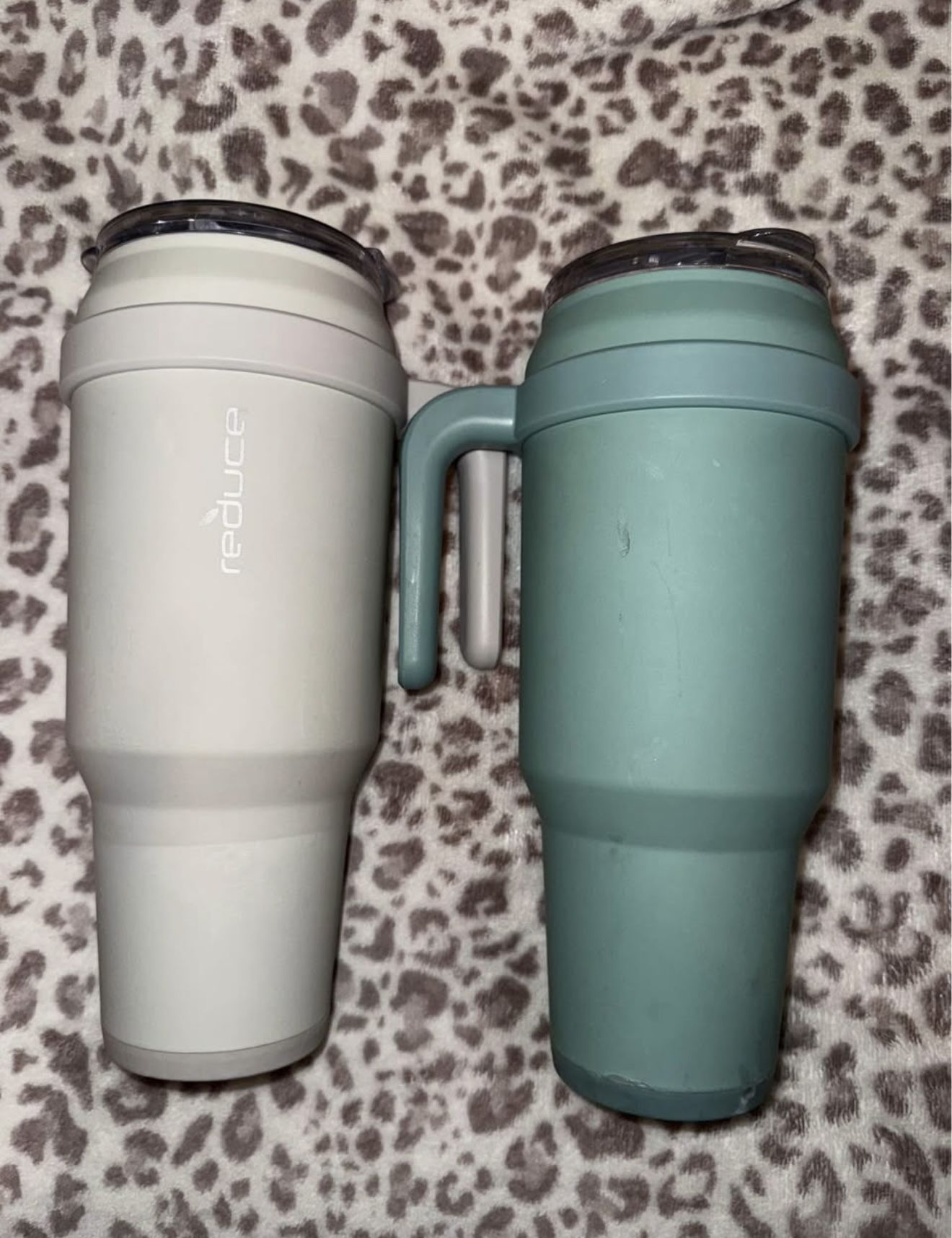 Stainless Steel Water Bottles