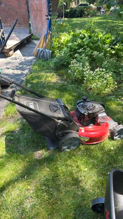Toro