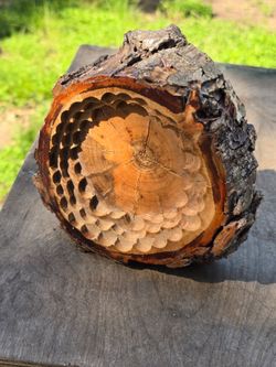 All Natural Rustic Pecan Goodie Dish 4-tier All Season Functional Artwork Home Patio Decor Sculpture