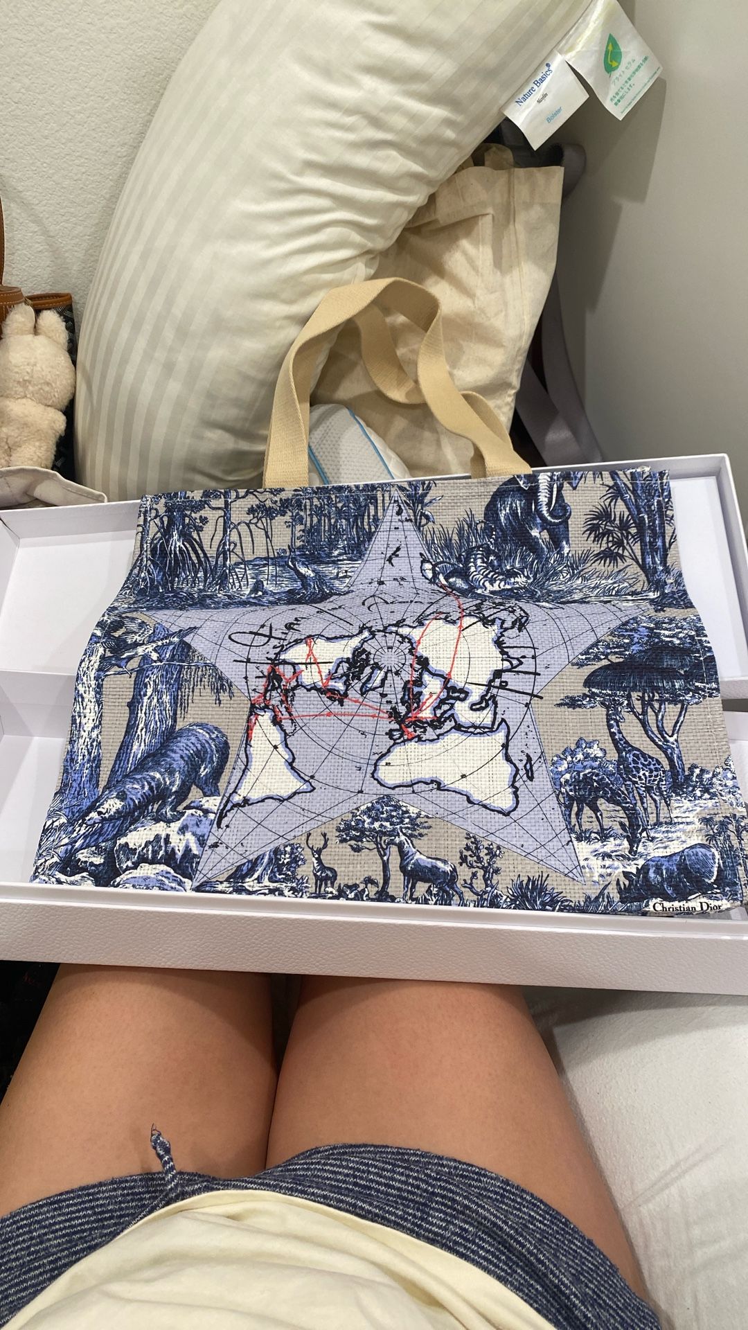 Dior Around The World Tote