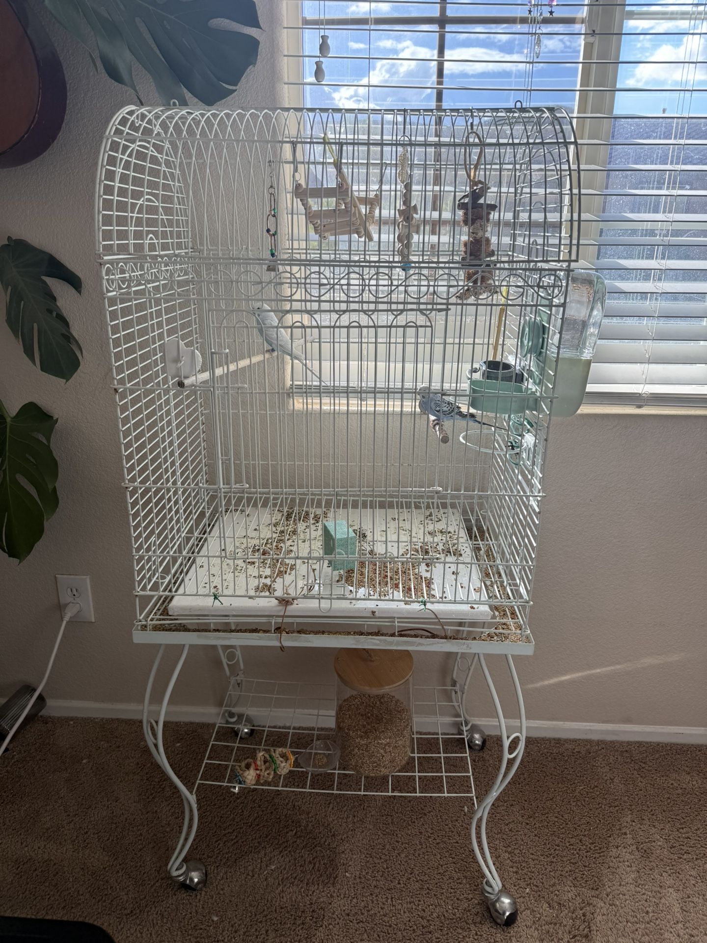 Bird Cages, Supplies Parakeets