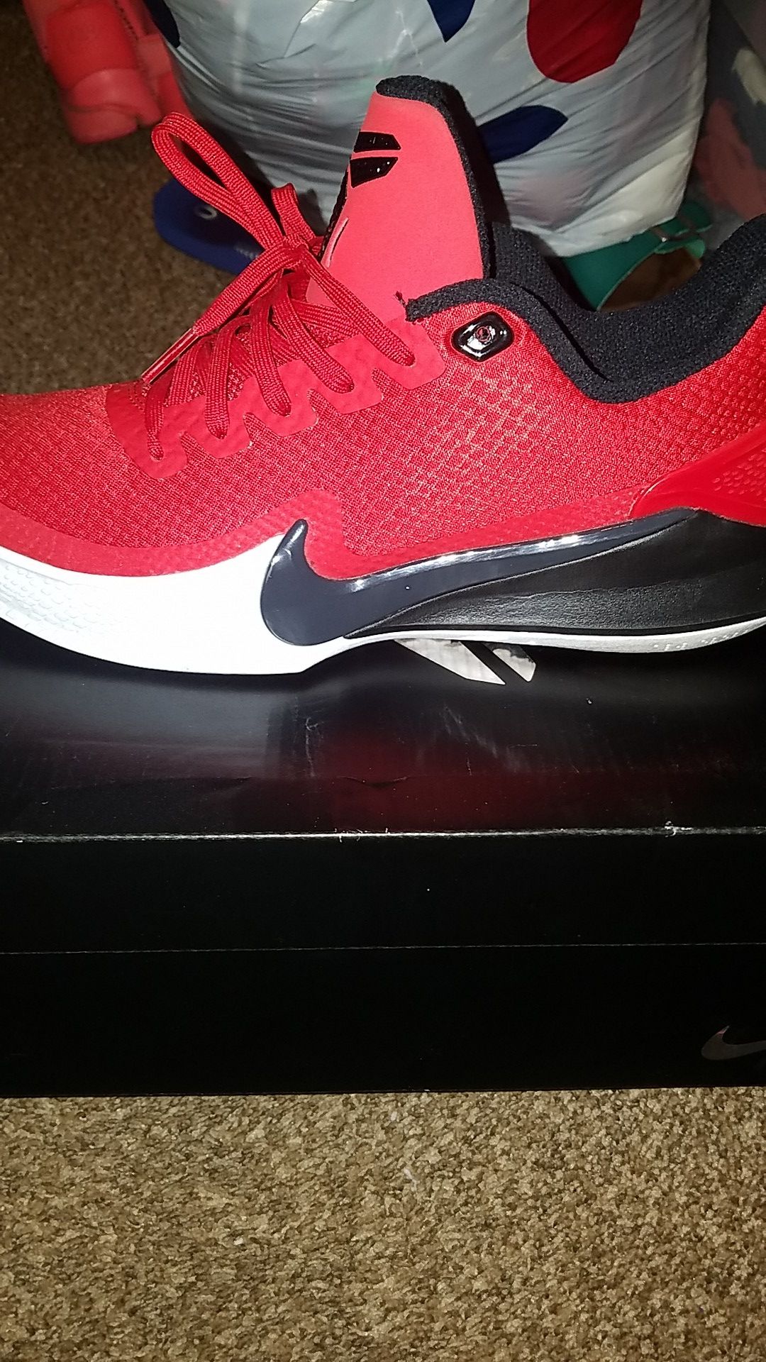 Mamba focus 10.5 kobe's