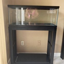 20 Gallon Long Tank  With Metal Stand, Top Light And Filter