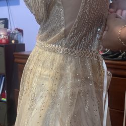 Prom/Formal Gown