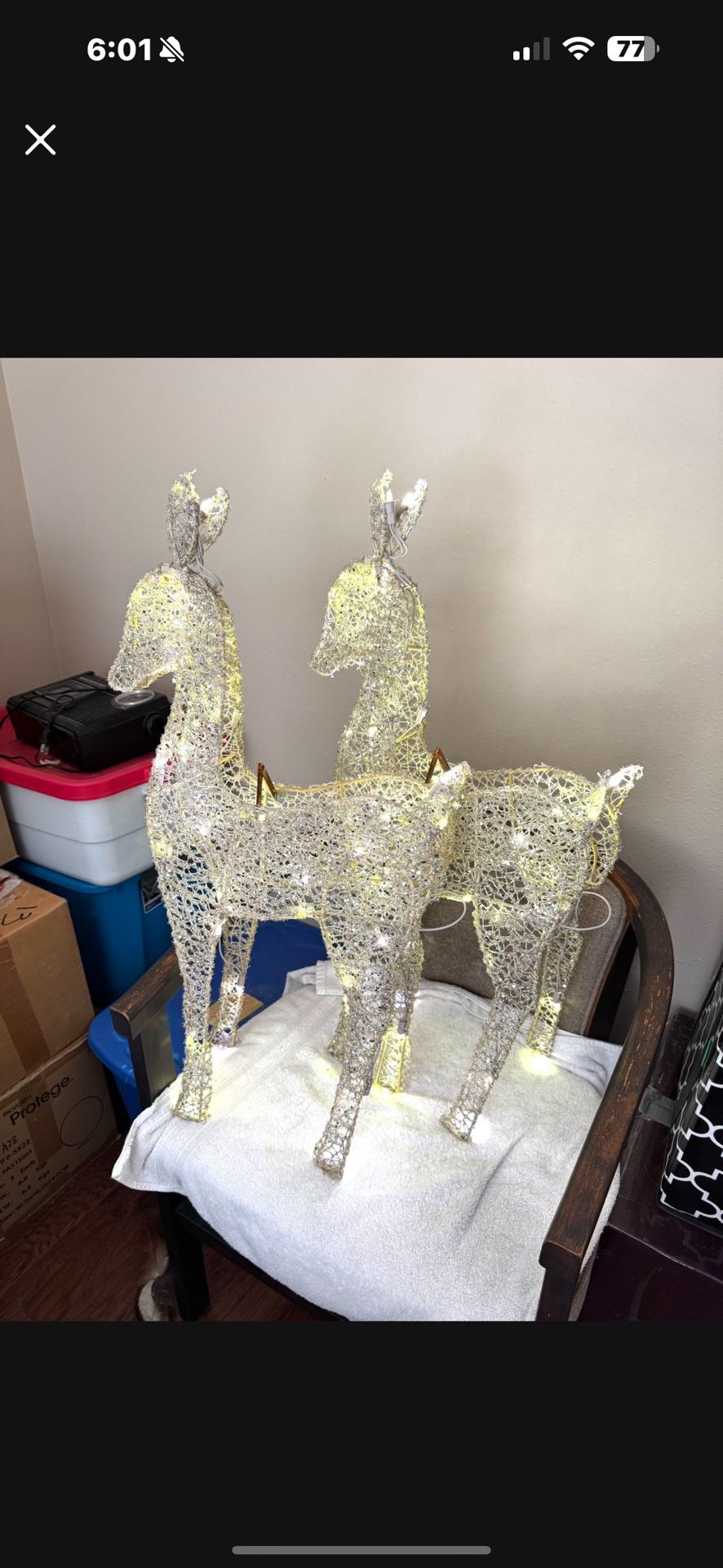 Last Christmas Chance Two Light Up Reindeer With Blinking Light $30 31 H X16 W
