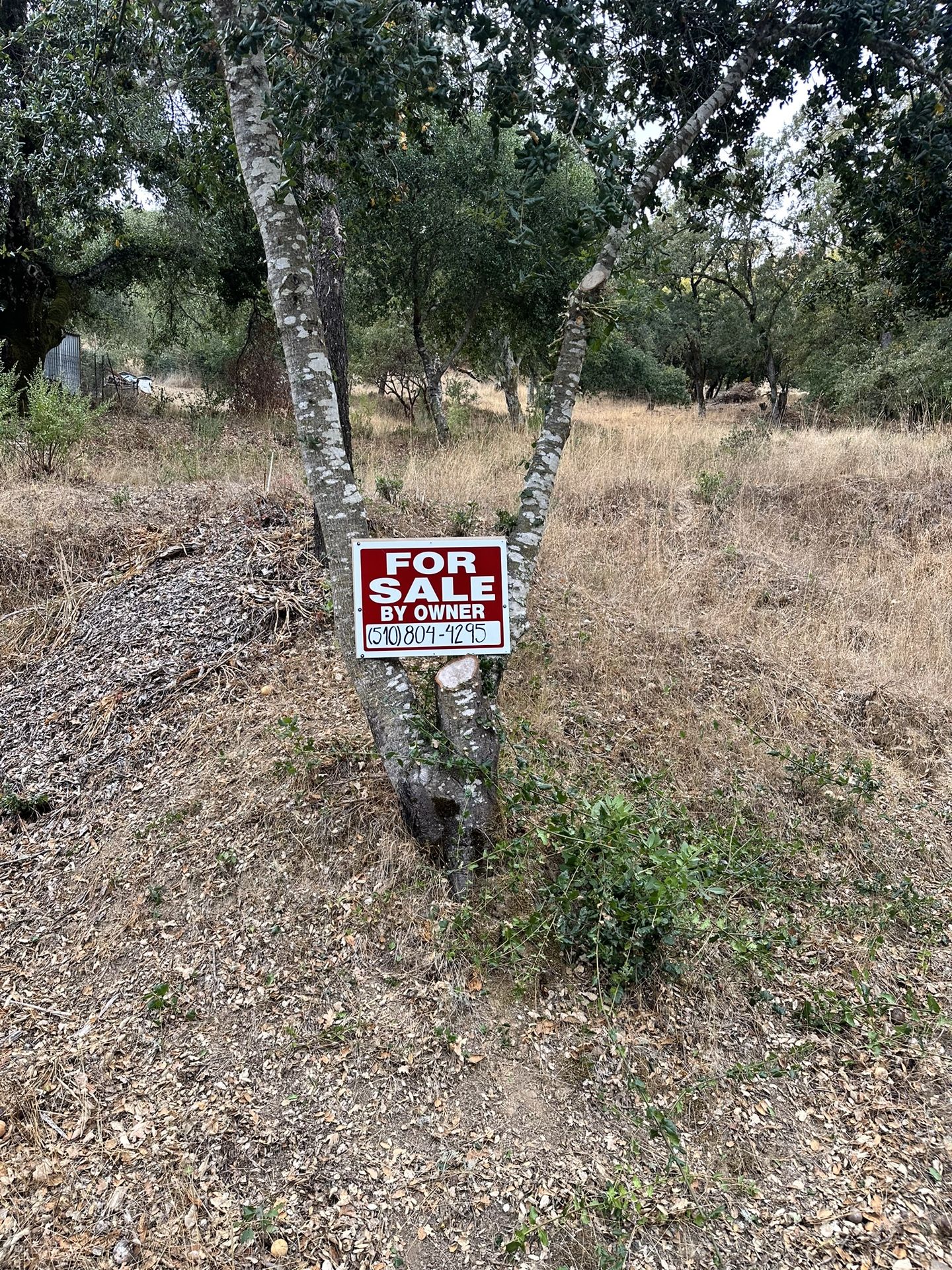 LAND FOR SALE NAPA COUNTY for Sale in Hercules, CA OfferUp