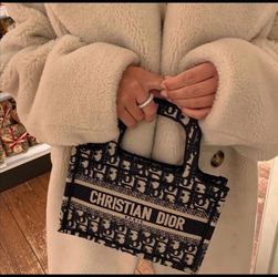 Small Purse