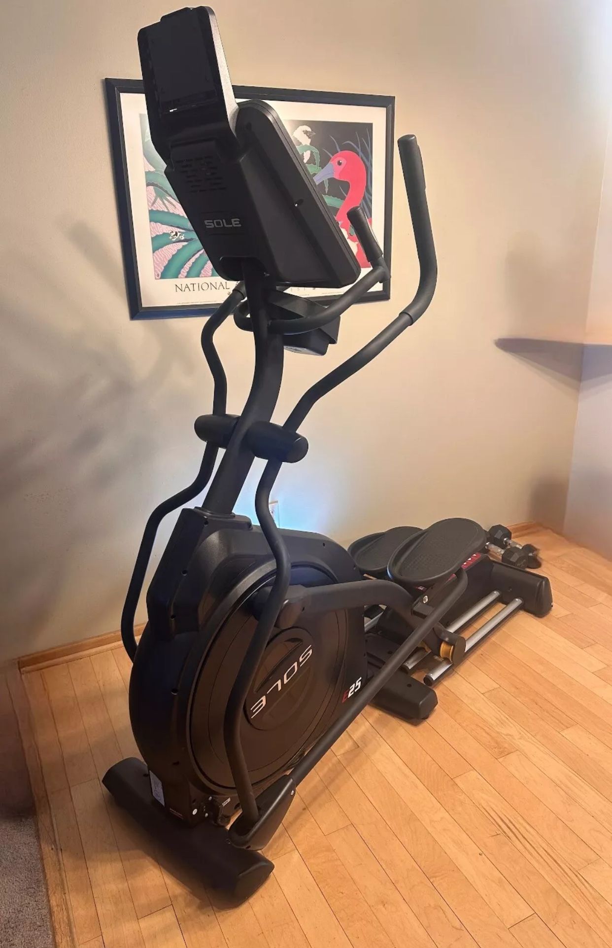 Elliptical Sole E25