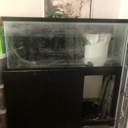 Fish Tank And Stand