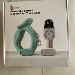 Retractable Leash & E-collar Training 
