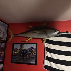 Fish mounts