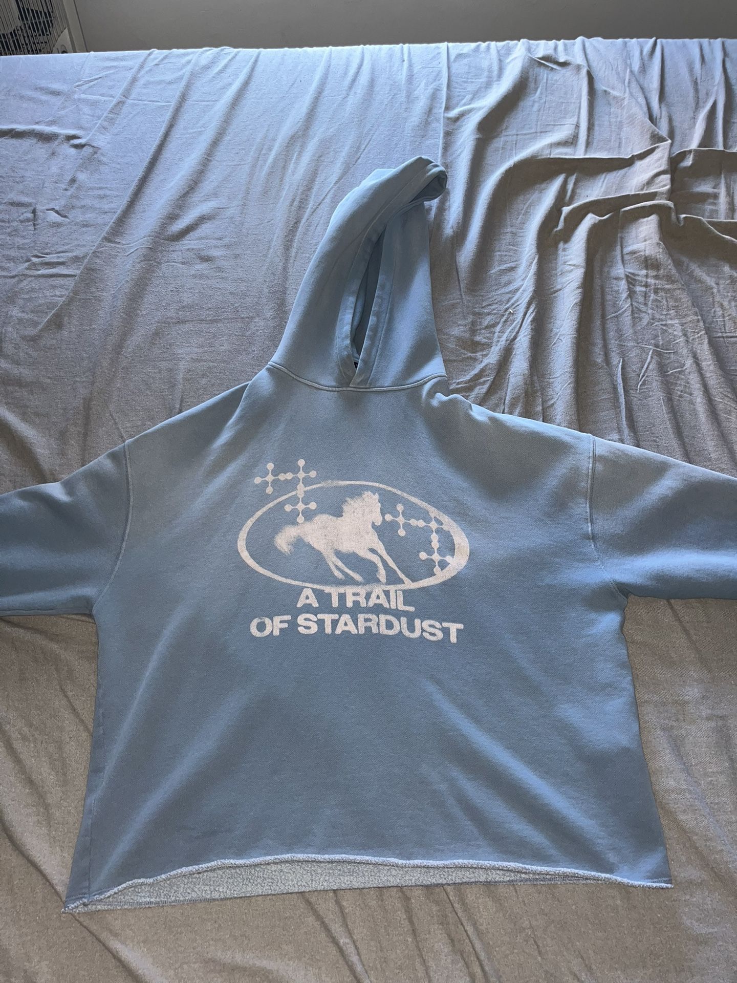 Two Hoodies From Zara
