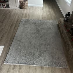 Gray Living Room Carpet 5x7