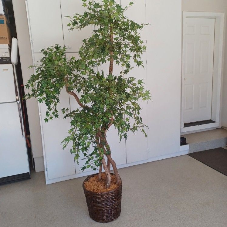 7 1/2' Vine Maple Artificial Tree w/basket stand
