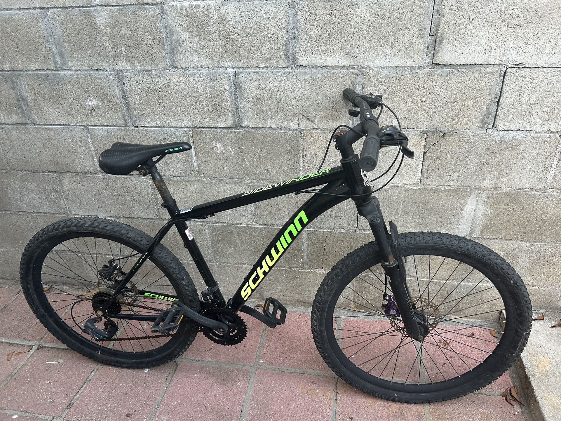 Adult Bike