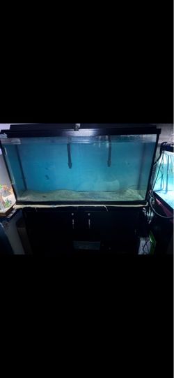 Big Fish tank for sale