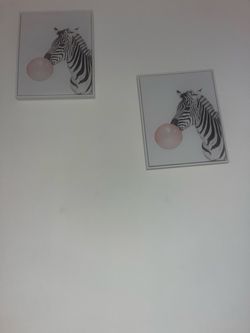 Zebra Bubble Gum Wall Art Prints Set of 2
