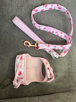 Dog Leash