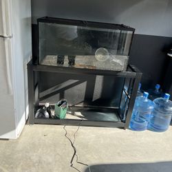 Fish Tank And Stand